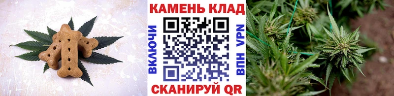 Canna-Cookies марихуана  закладки  дарк нет состав  Новокубанск 