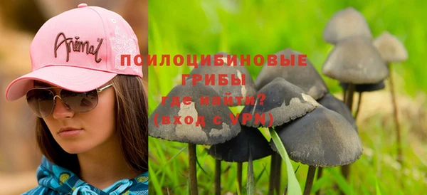хмурый Алексеевка