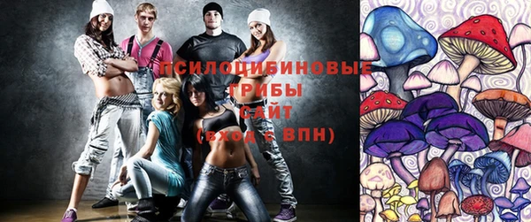 хмурый Алексеевка