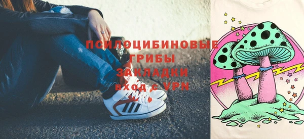 дживик Алексин