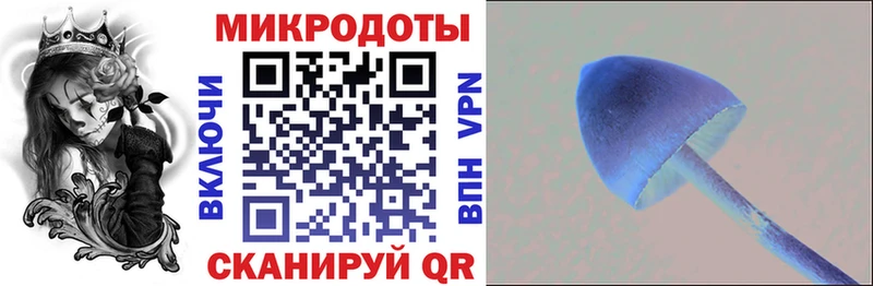 Галлюциногенные грибы GOLDEN TEACHER  Новокубанск 