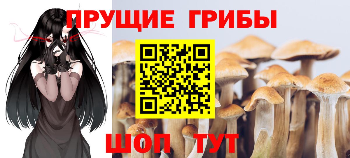 Псилоцибиновые грибы MAGIC MUSHROOMS  Вход с VPN  Новокубанск 